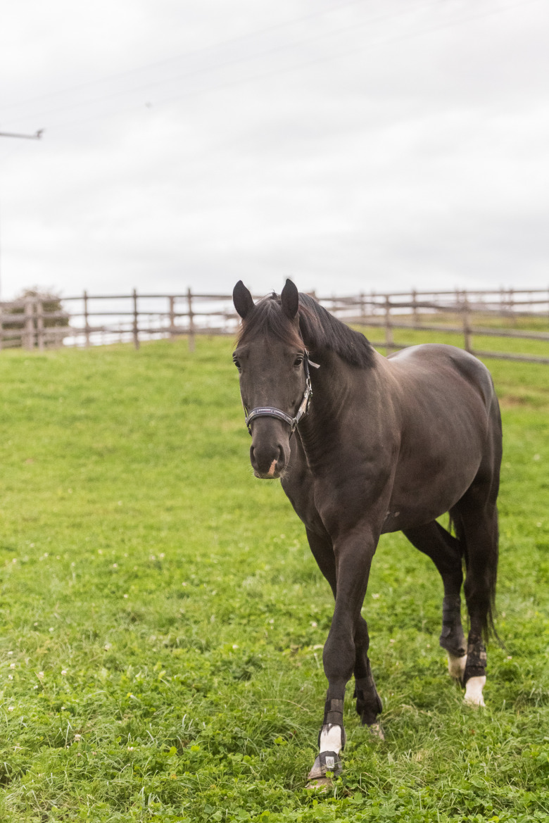 Framsteg i läkningen av Skyline To B