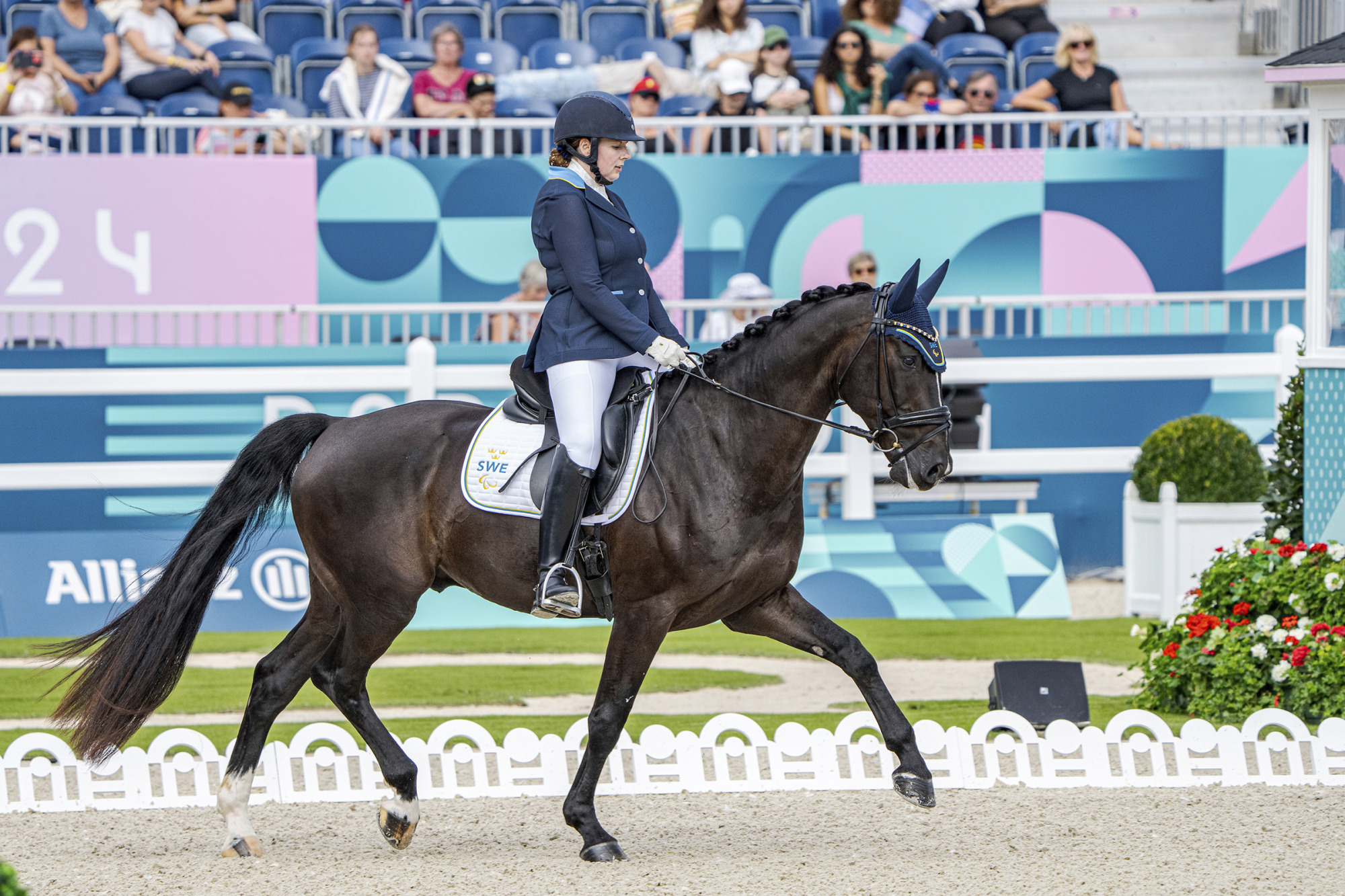 Swe Renee Claesson-ribring Gr Iii Zapp Vs