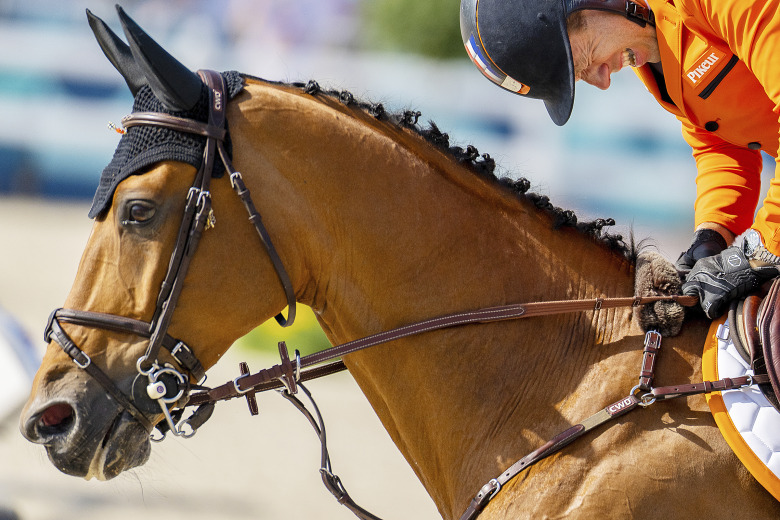 Från amatörhäst till OS-stjärna – Beauville trotsade alla odds