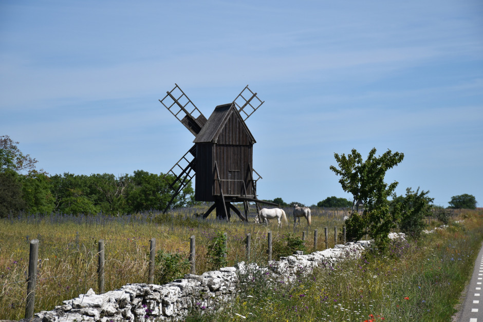 EU-bidrag ska stärka hästturismen på Öland