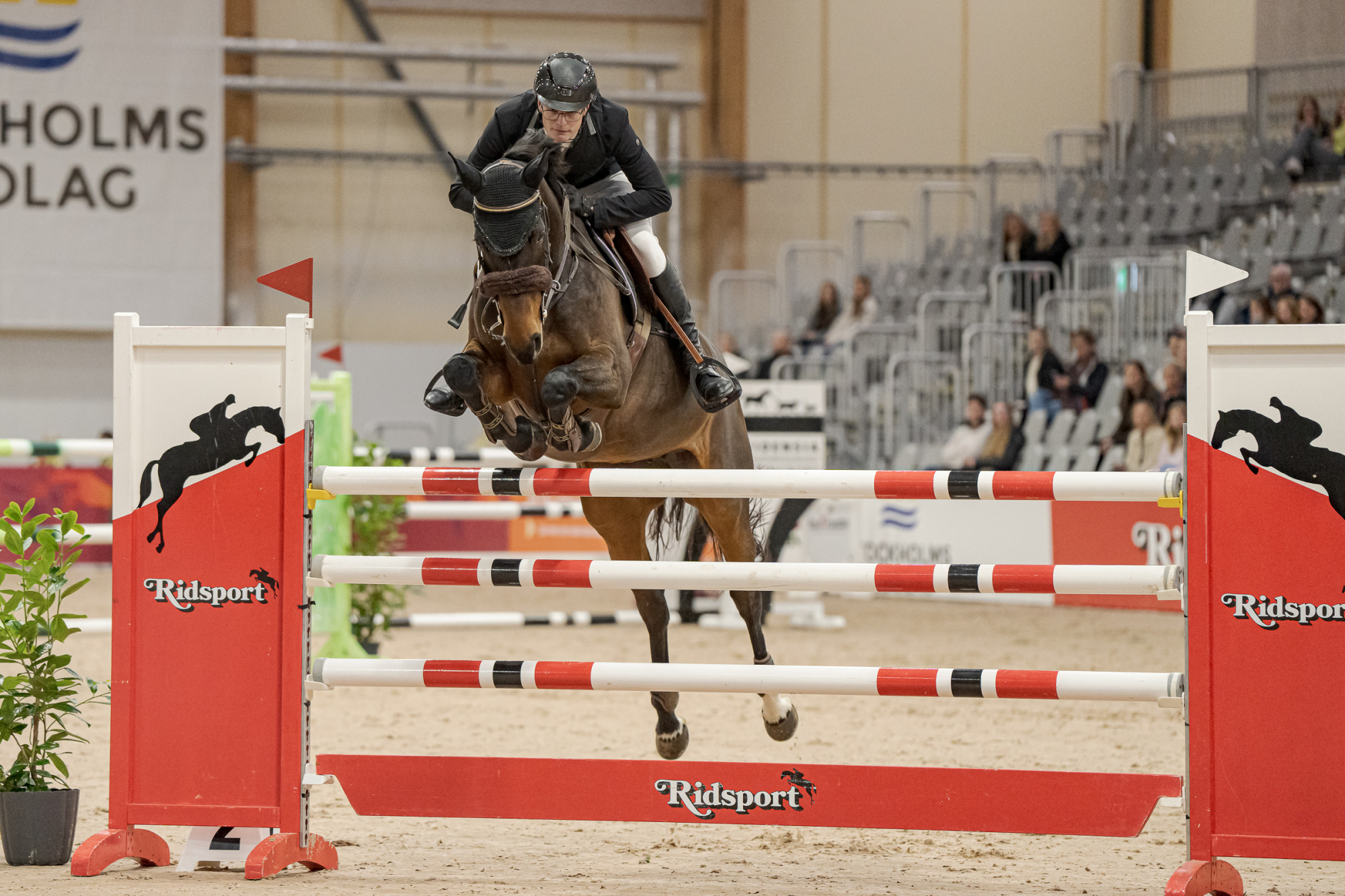 Joel Andersson Aurelie Ek