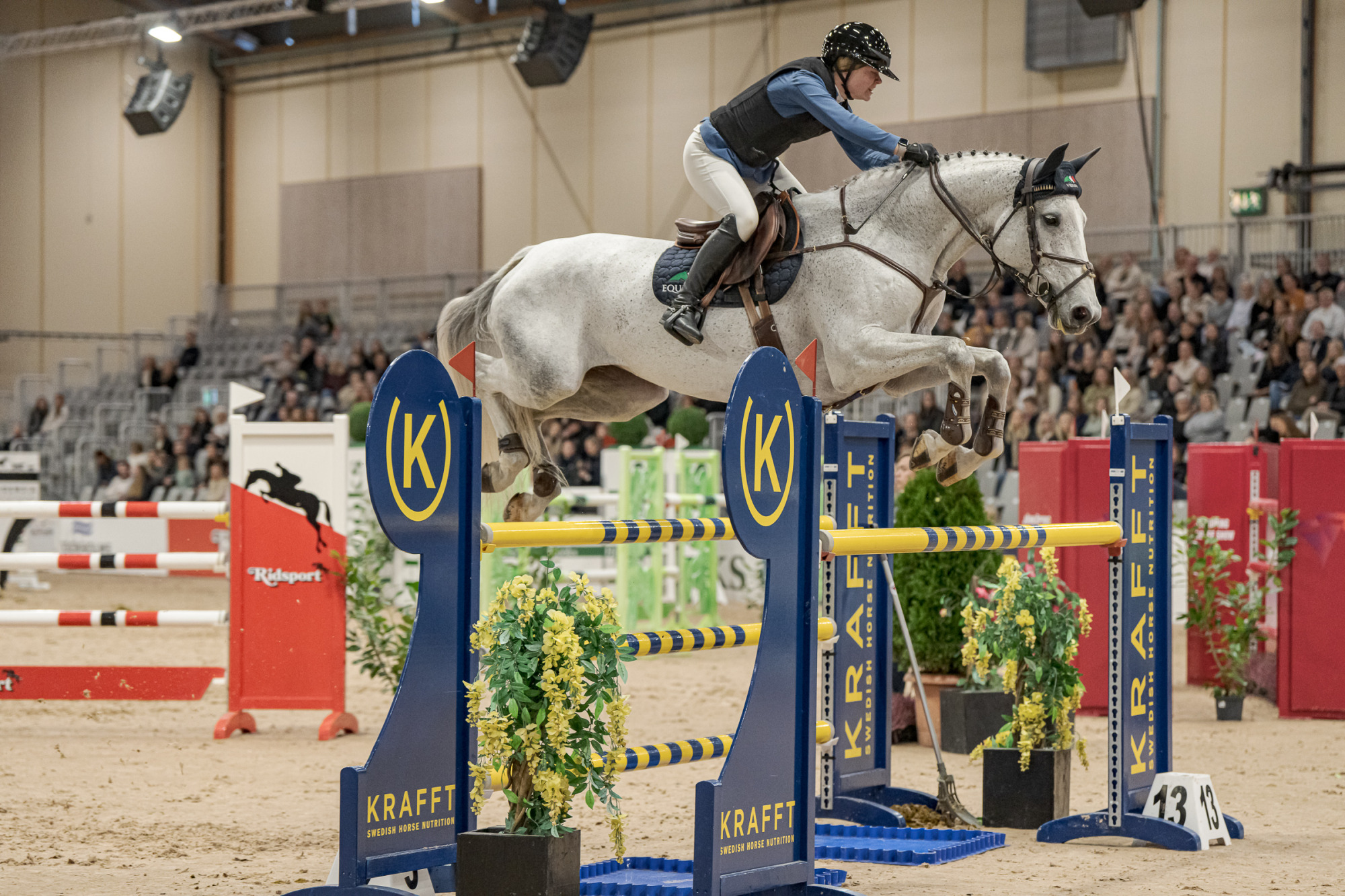 Kajsa Bj&ouml;re Campotonia Z