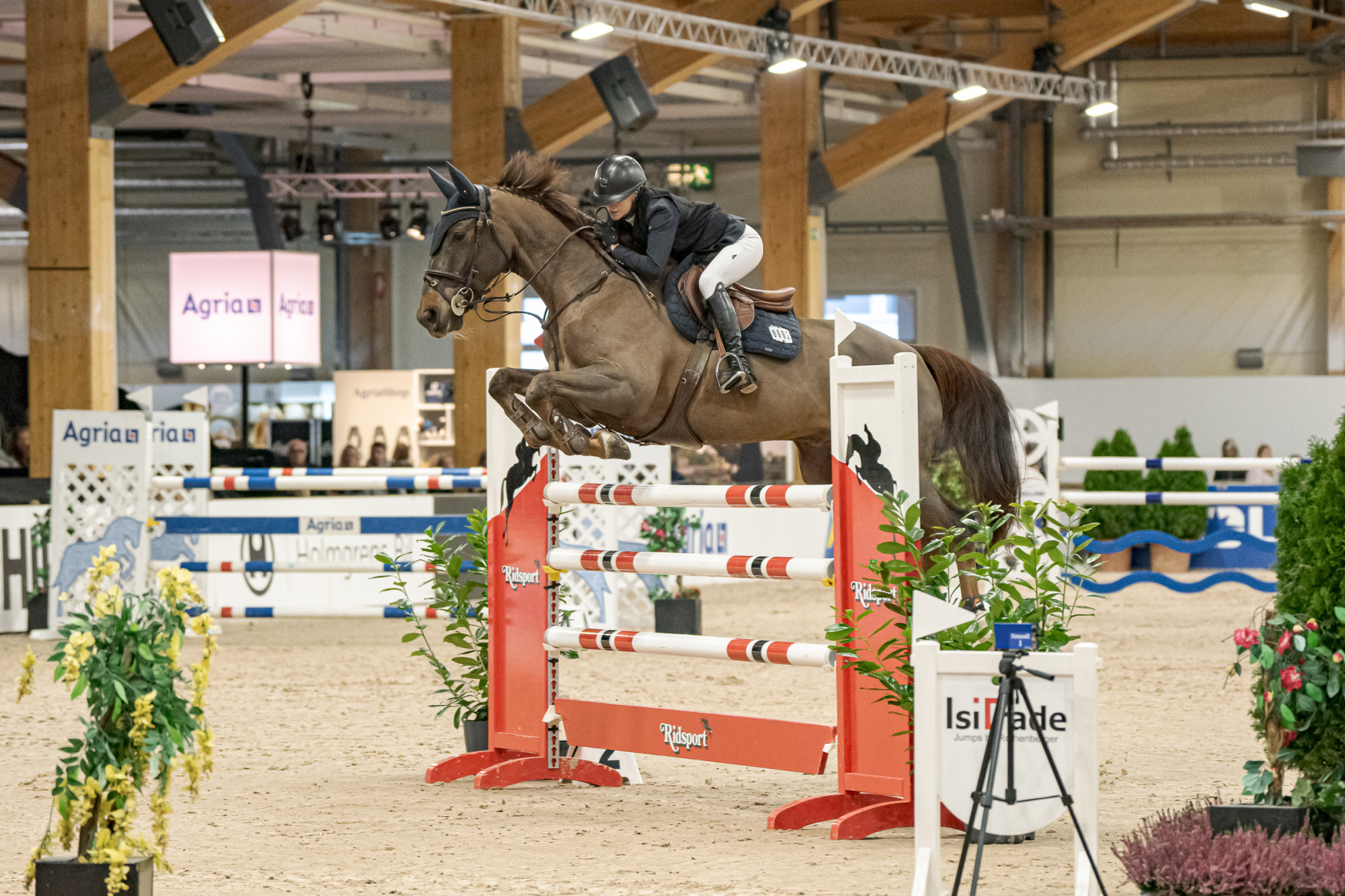 Linn Widmark Cervantes