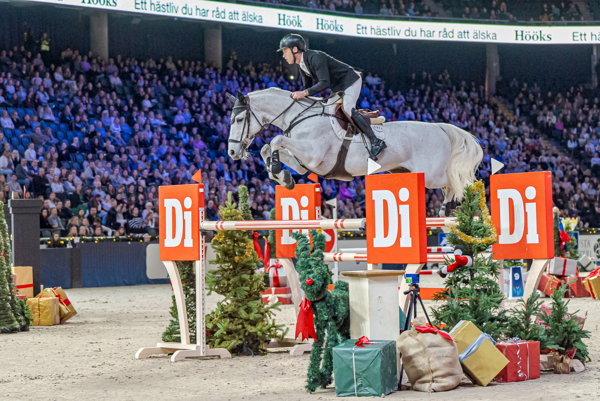 Scott Brash Gbr Hello Valentino