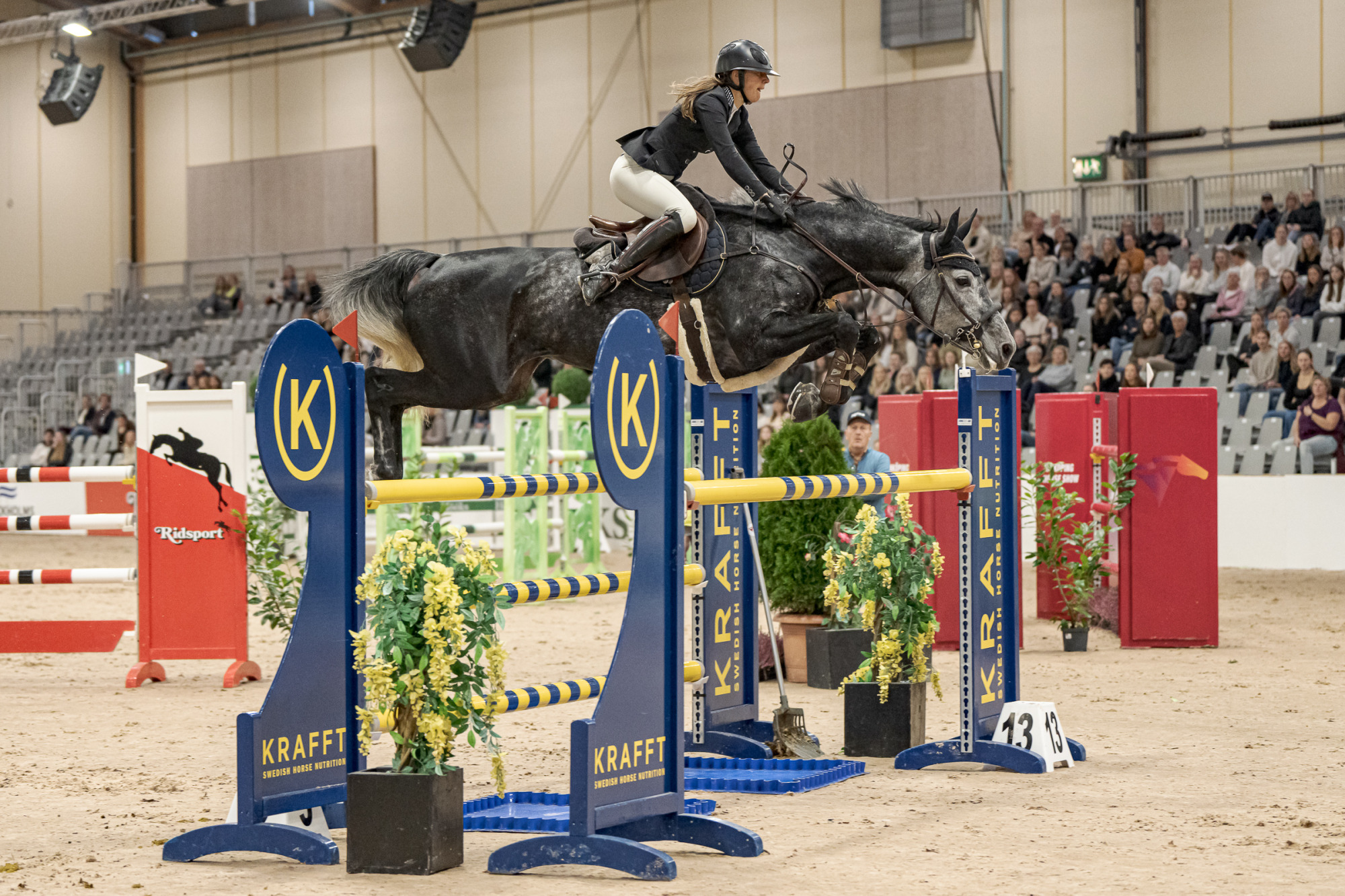 Thess Ganz Andersson Min Fearless Kajsa (36)