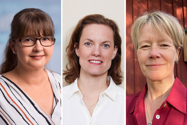 ”En konstruktiv diskussion om hästvälfärd kräver samsyn kring begreppen”