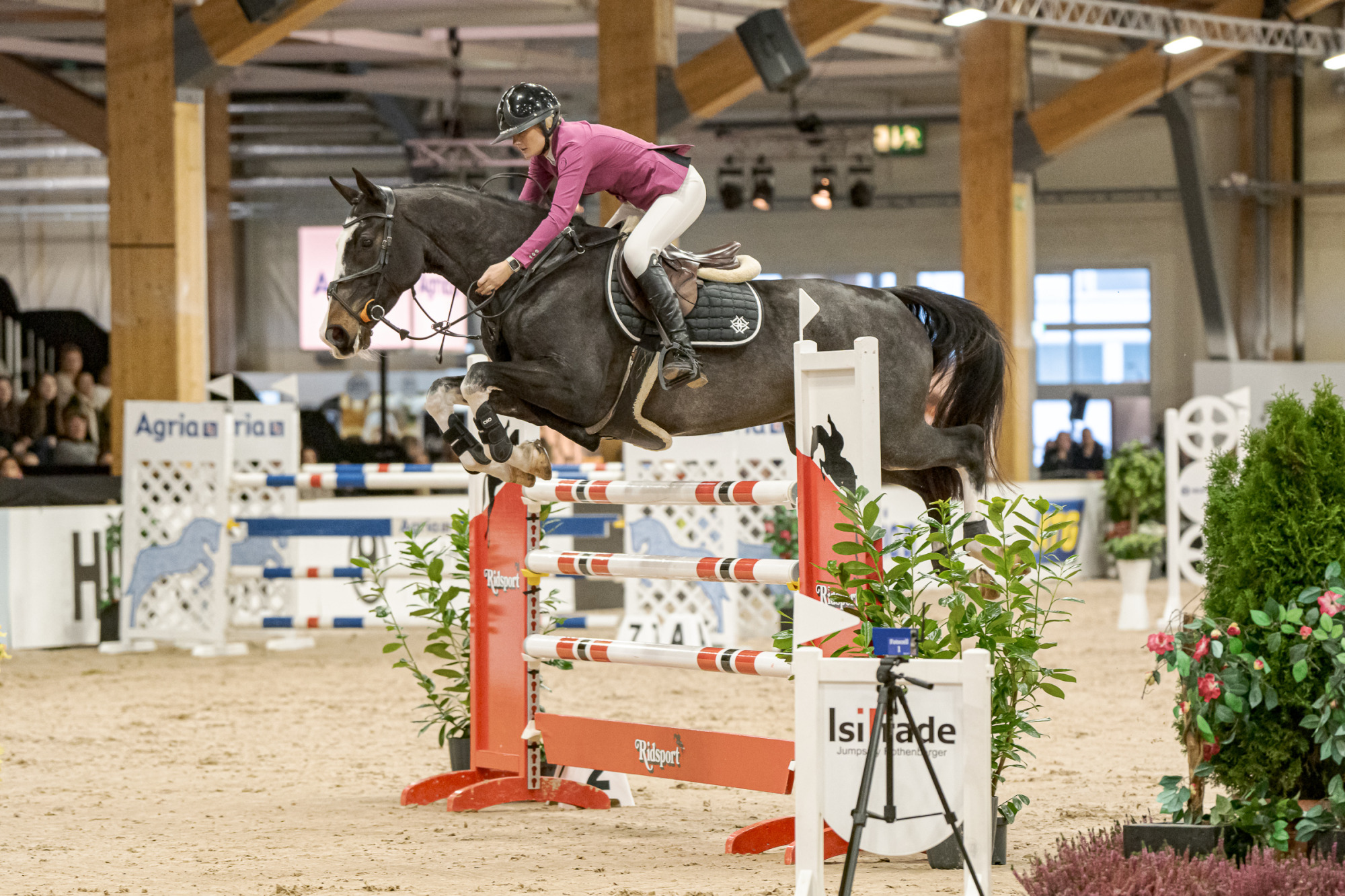 Wilma Fransson Armani Code