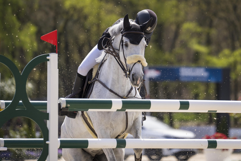 Veterinärer undrar: Döms hästar ut för lättvindigt?