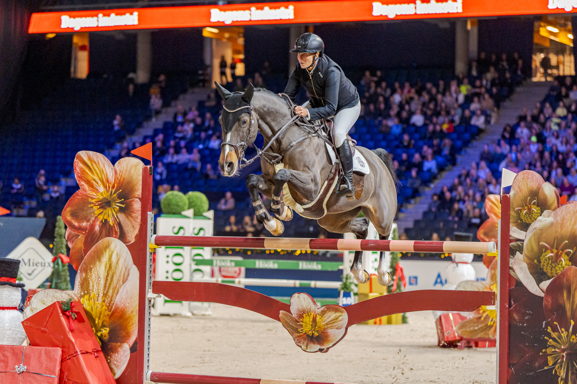 Erika Lickhammer- Van Helmond Swe I. Comme Tessa Vhl