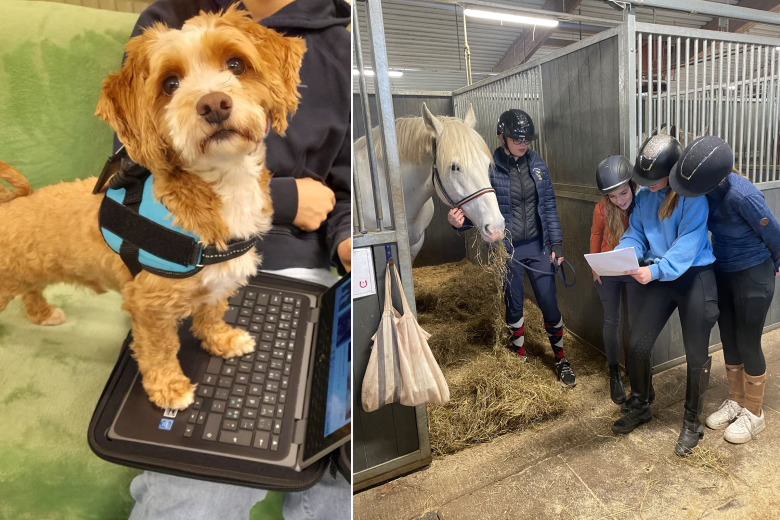 Ridklubb erbjuder läxhjälp i stallet: ”Hoppas på ett stort genomslag”