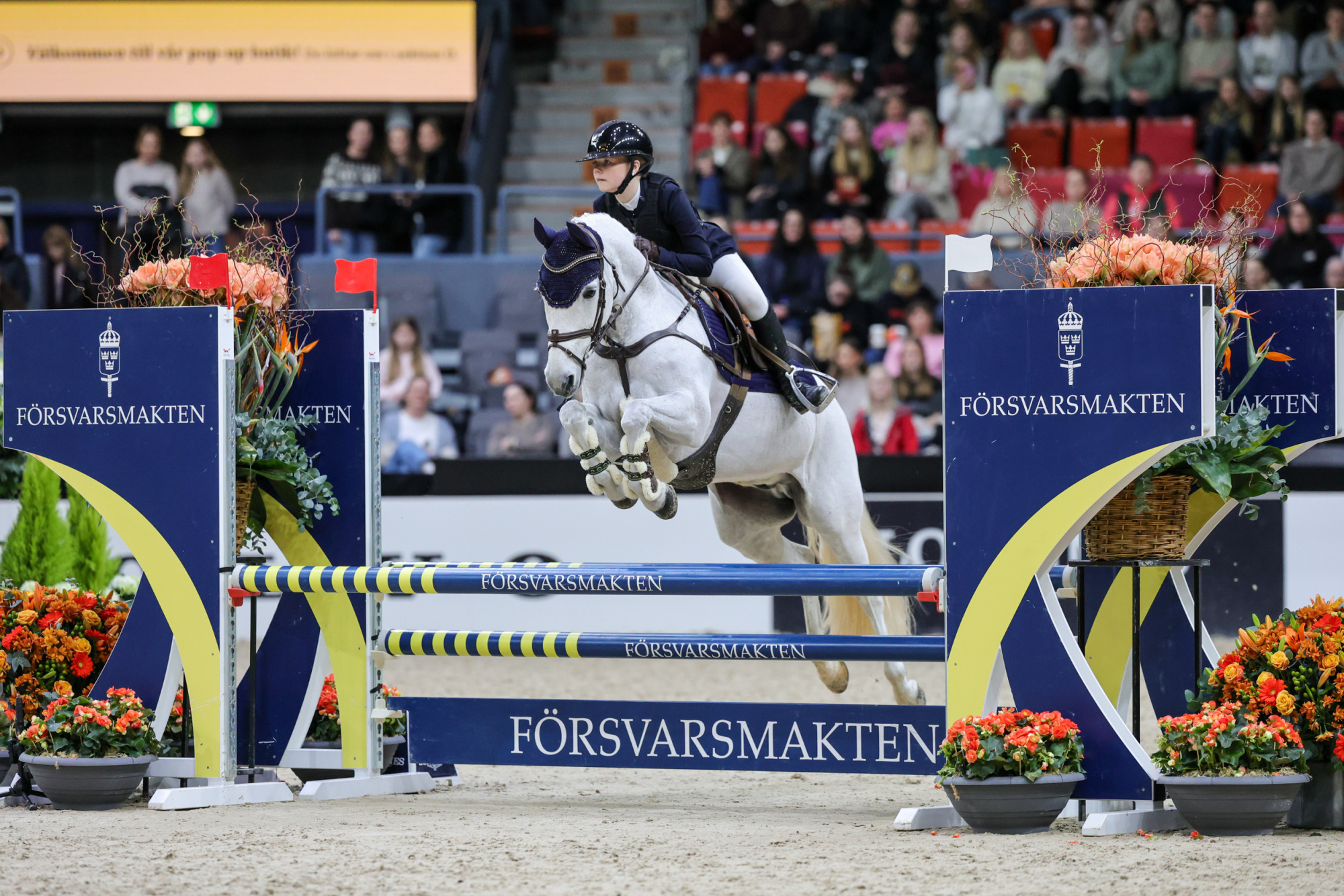 2024 års Segrare Tuva Svensson Sandy-0073