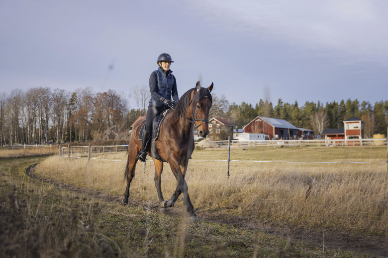 Dressyrproffs + travproffs = sant