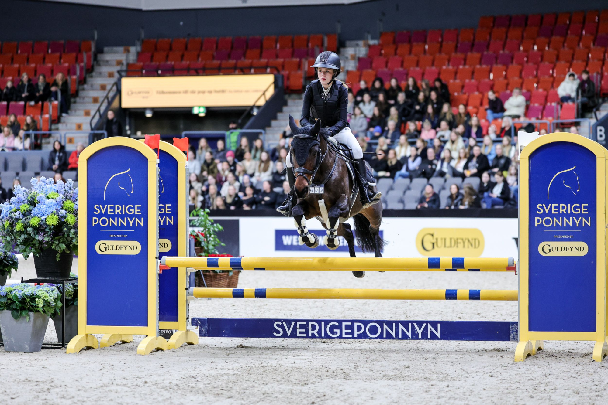 Celine Hafstr&ouml;m Boten Anna