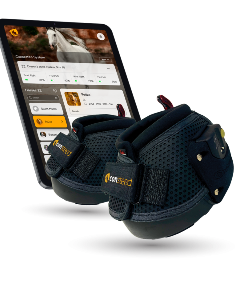 Consteed-img