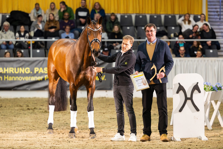 Hingstnytt: Stjärnor på väg upp belönade