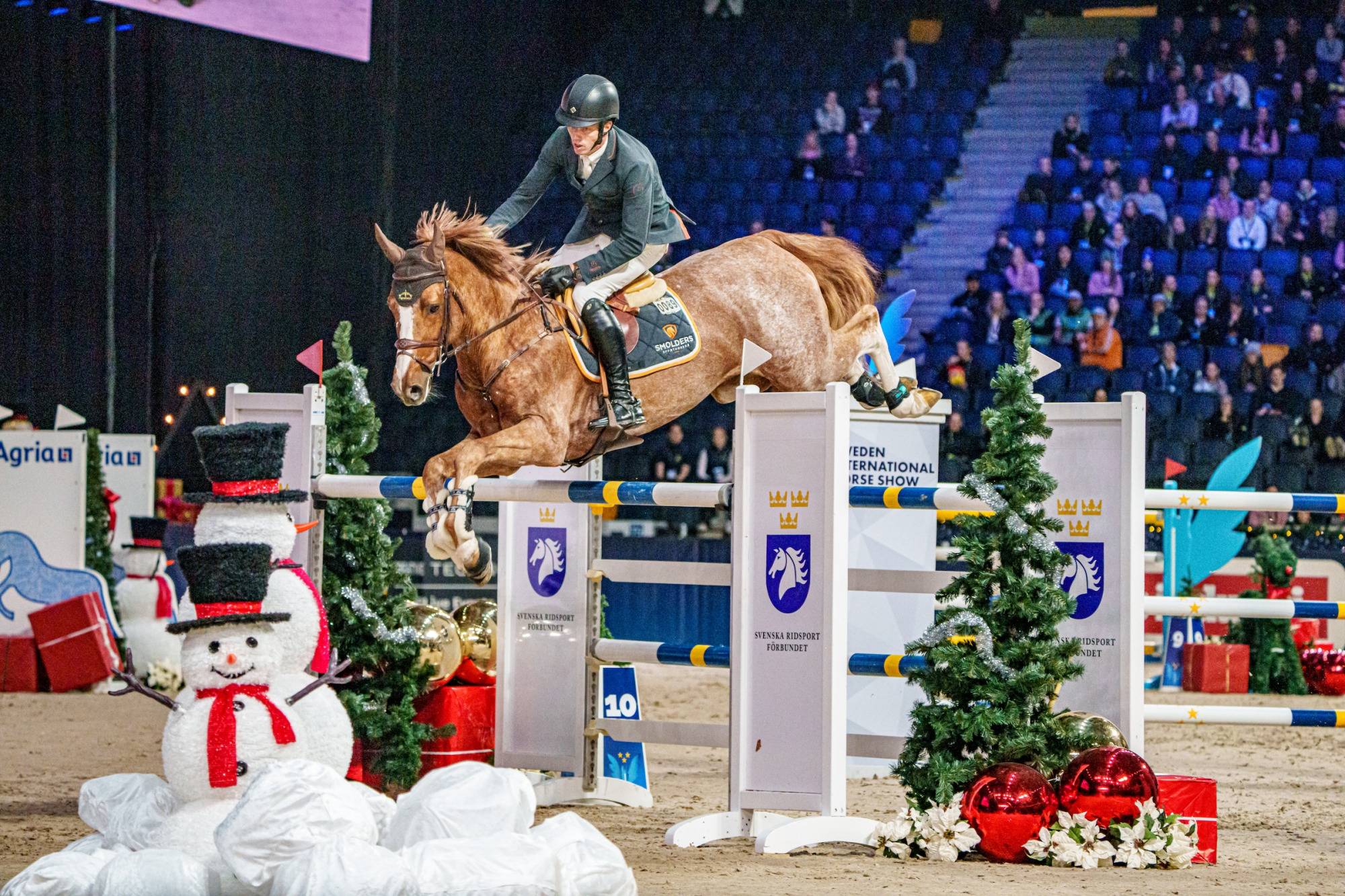 Harrie Smolders Ned Escape Z