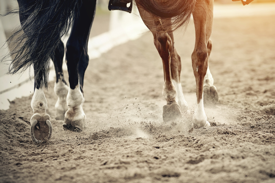 Enkät: Hur undviker du hältor?