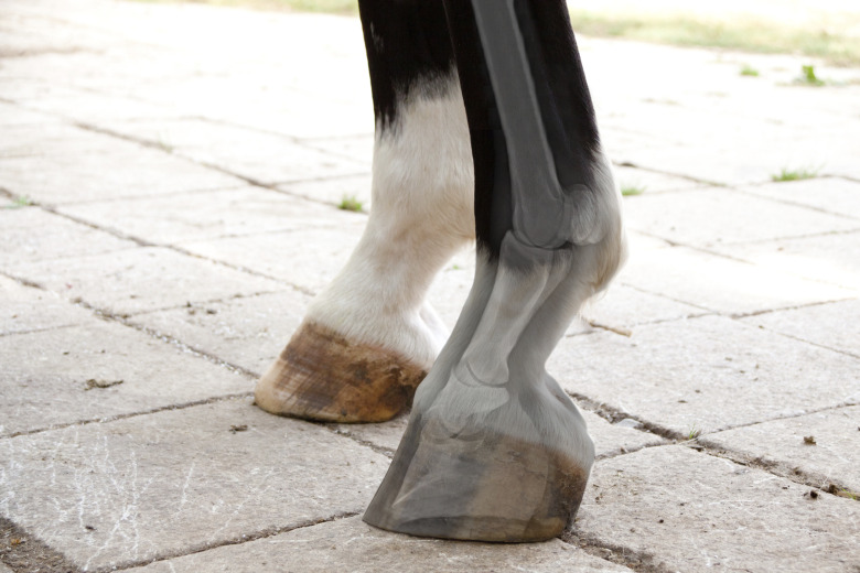 Nya artrosläkemedlet: Godkännande dröjer