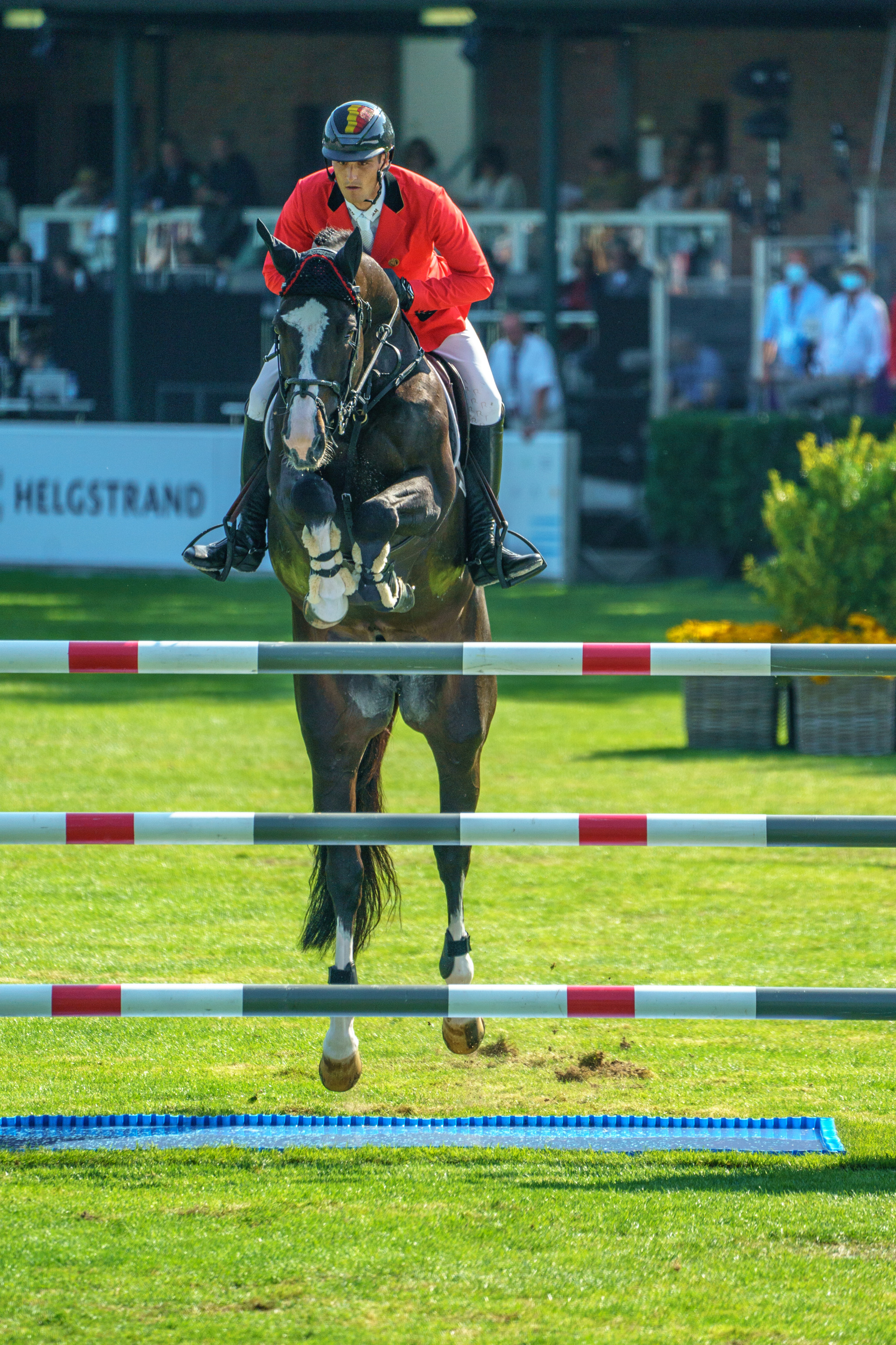 Le Blue Diamond V't Ruytershof