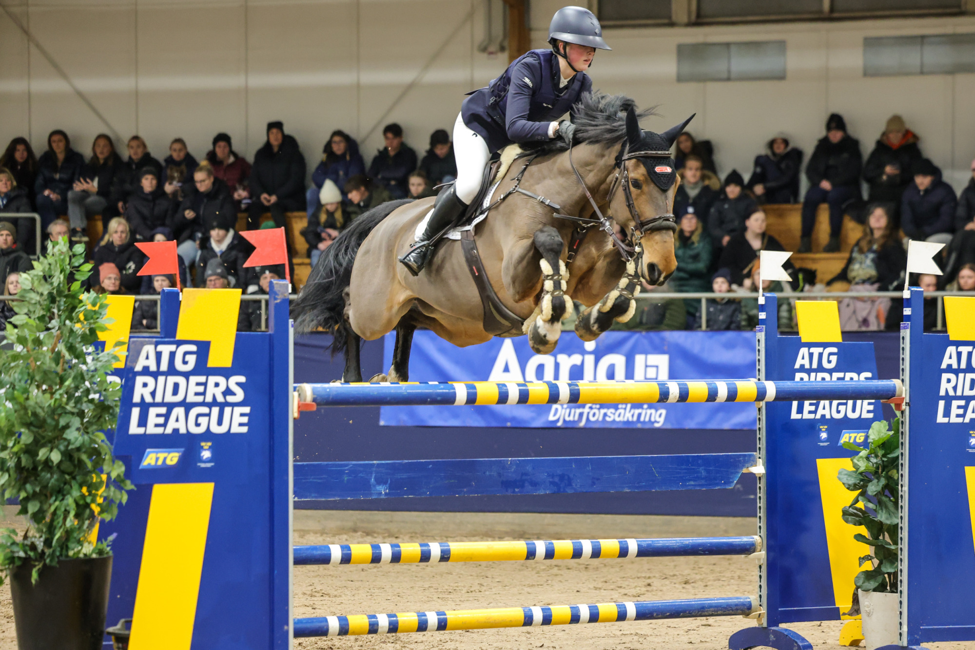 Lilly Smith Supervivente-8862