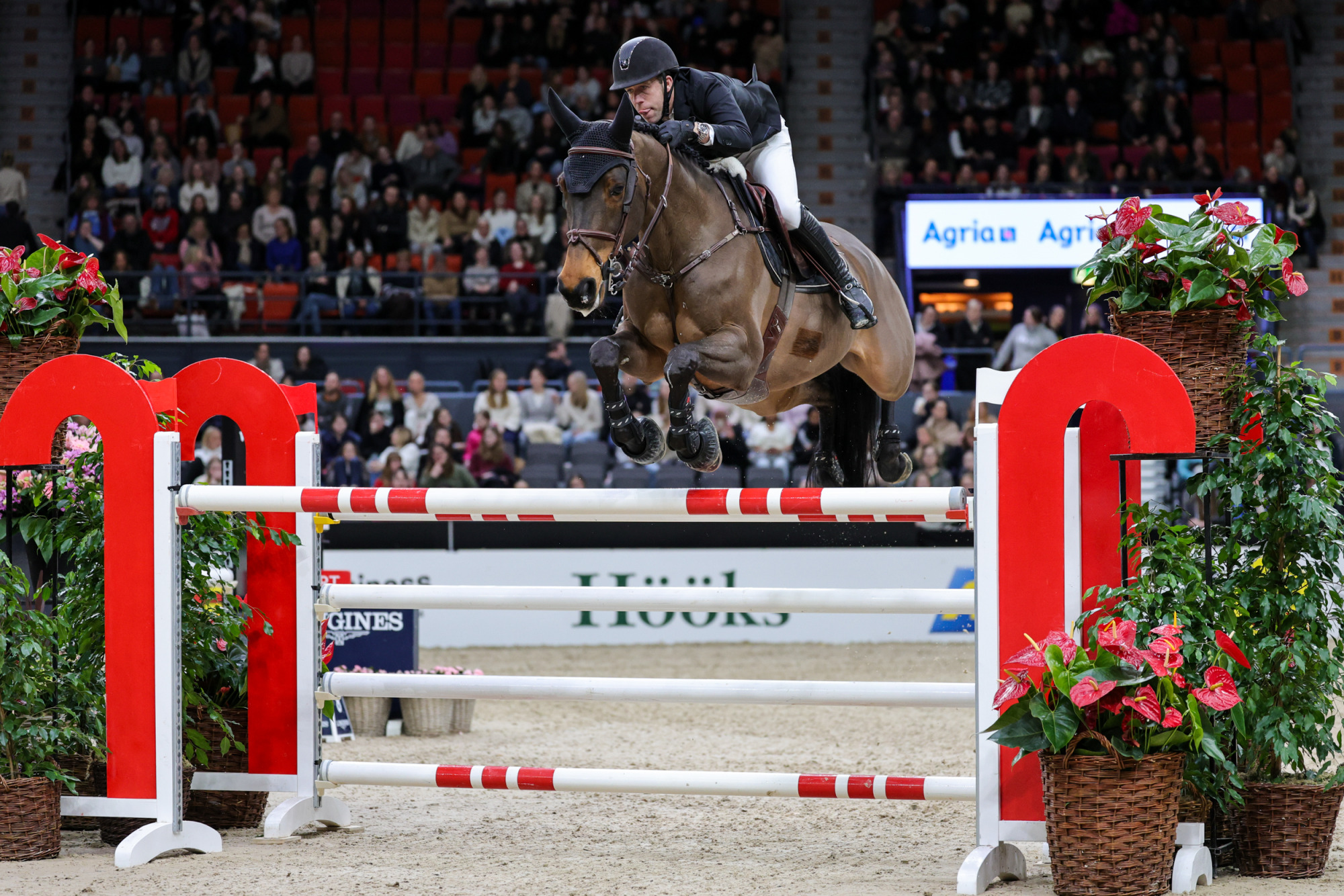 Maikel Van Der Vleuten Elwikke-2959
