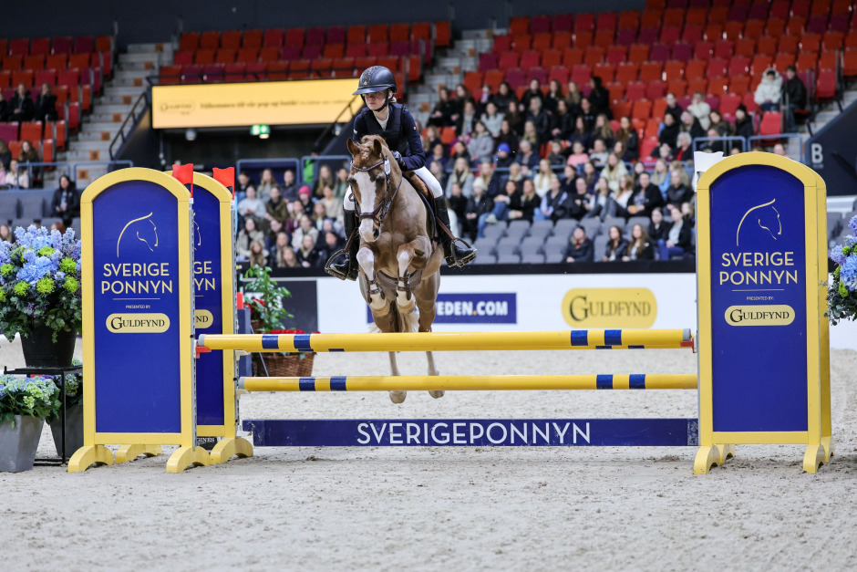 Lön för mödan – efter 119 mil: ”Vi vill flytta hit!”