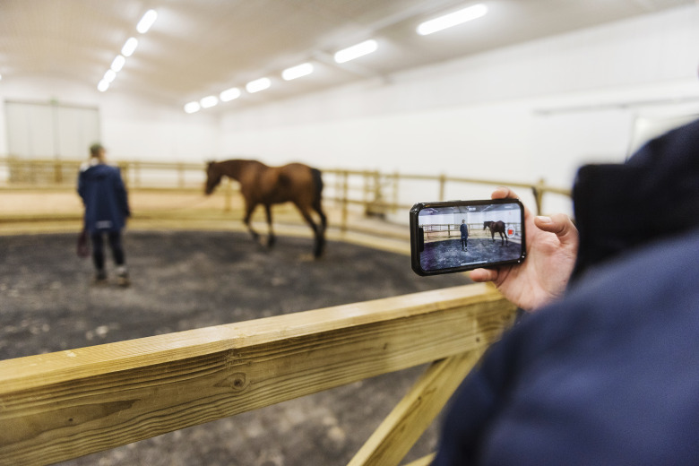 Rörelsekoll med svensk app