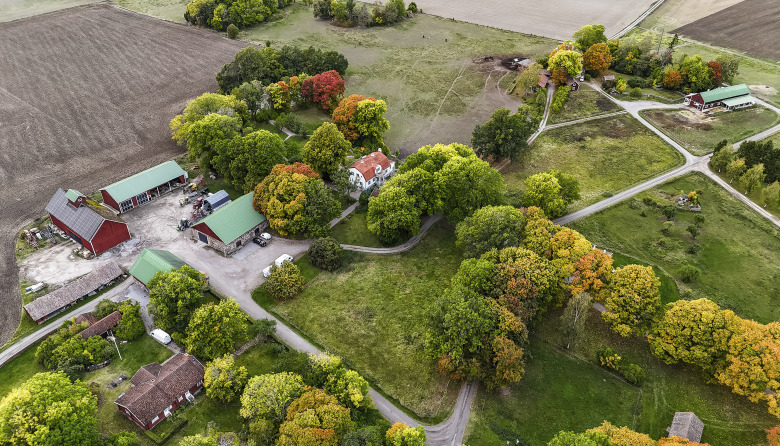 Stall-mvg-fotograf-sofie-skold-studio-skold-9