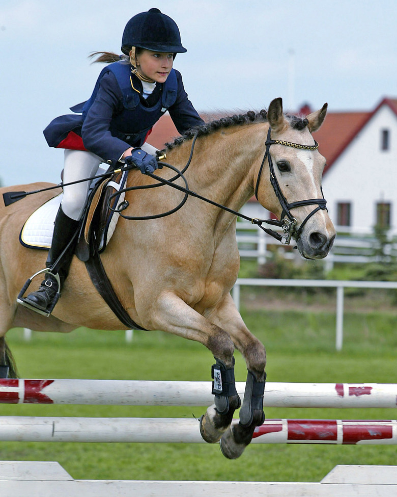Startade karriären i Ridsport Ponny Cup