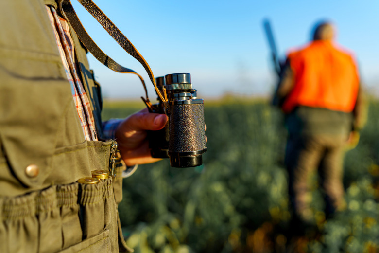 Jägare sköt ihjäl ponnyer – utredningen tas upp igen