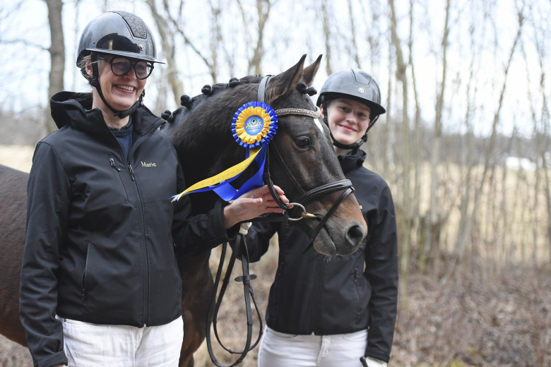 Fem ridponnyhingstar godkända av ASRP