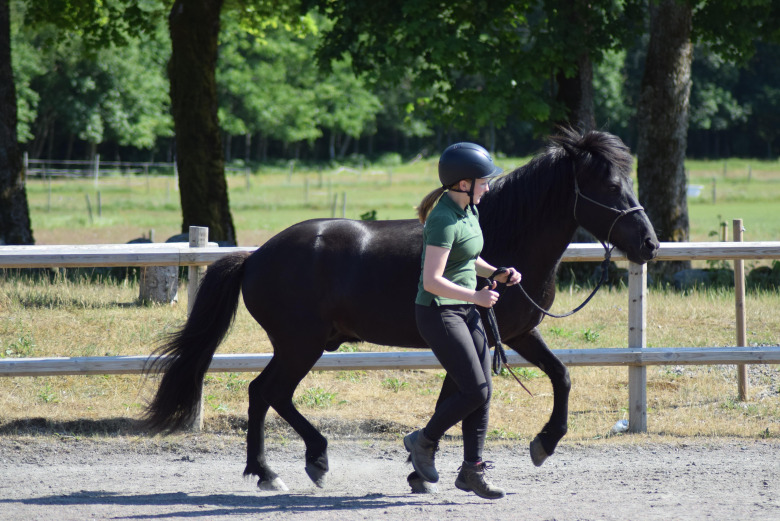 Hästföretagaren Isabella Rinaldo är Årets hästvän