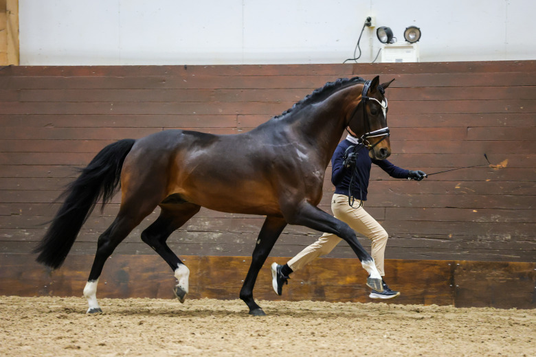 Onsdag på bruksprovet