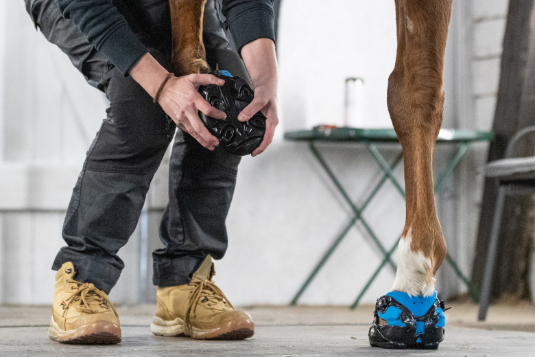 Hovboots kräver mer av hästägaren än vanliga skor
