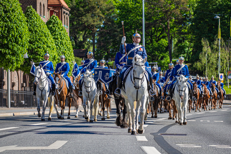 Häst och ryttare föll under kortege i centrala Stockholm