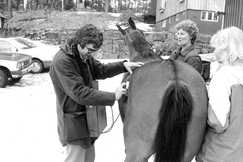 Tekniska framsteg i 80-talets hästavel