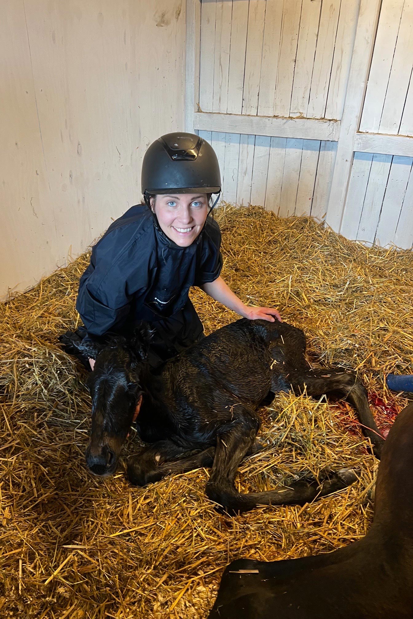 Distriktsveterinarerna_folning