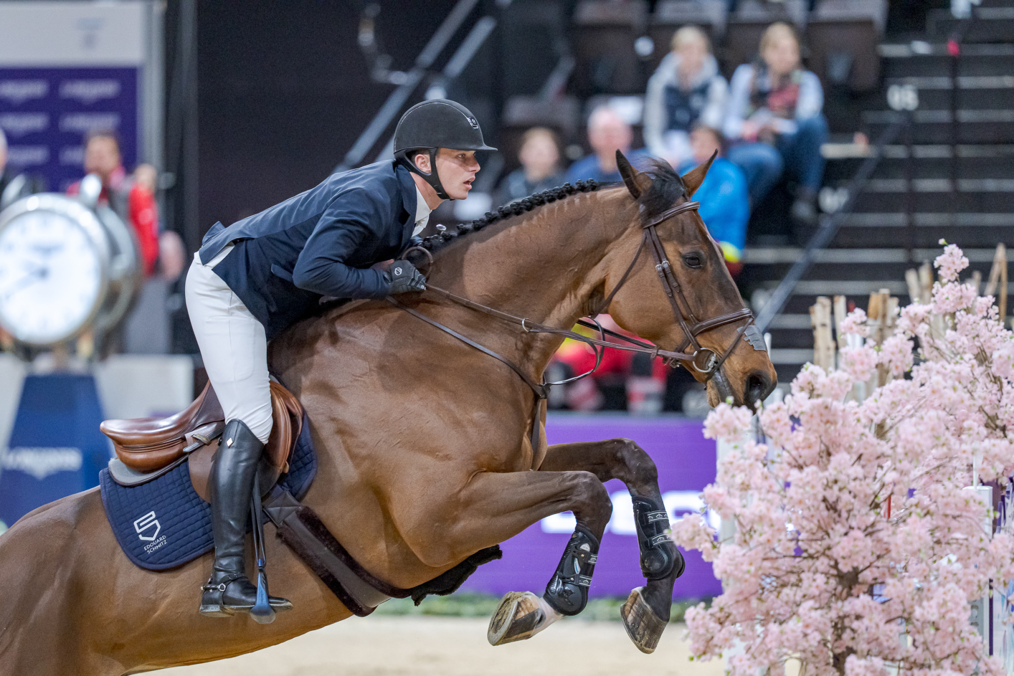 Edouard&nbsp;schmitz (sui) Gamin Van't Naastveldhof