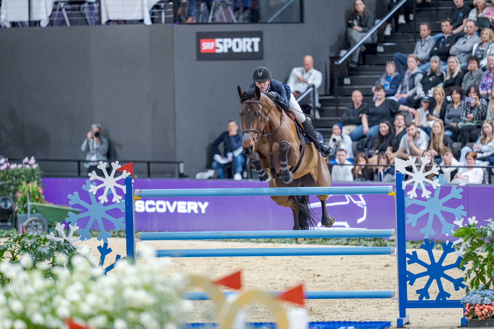 Edouard&nbsp;schmitz (sui) Gamin Van't Naastveldhof