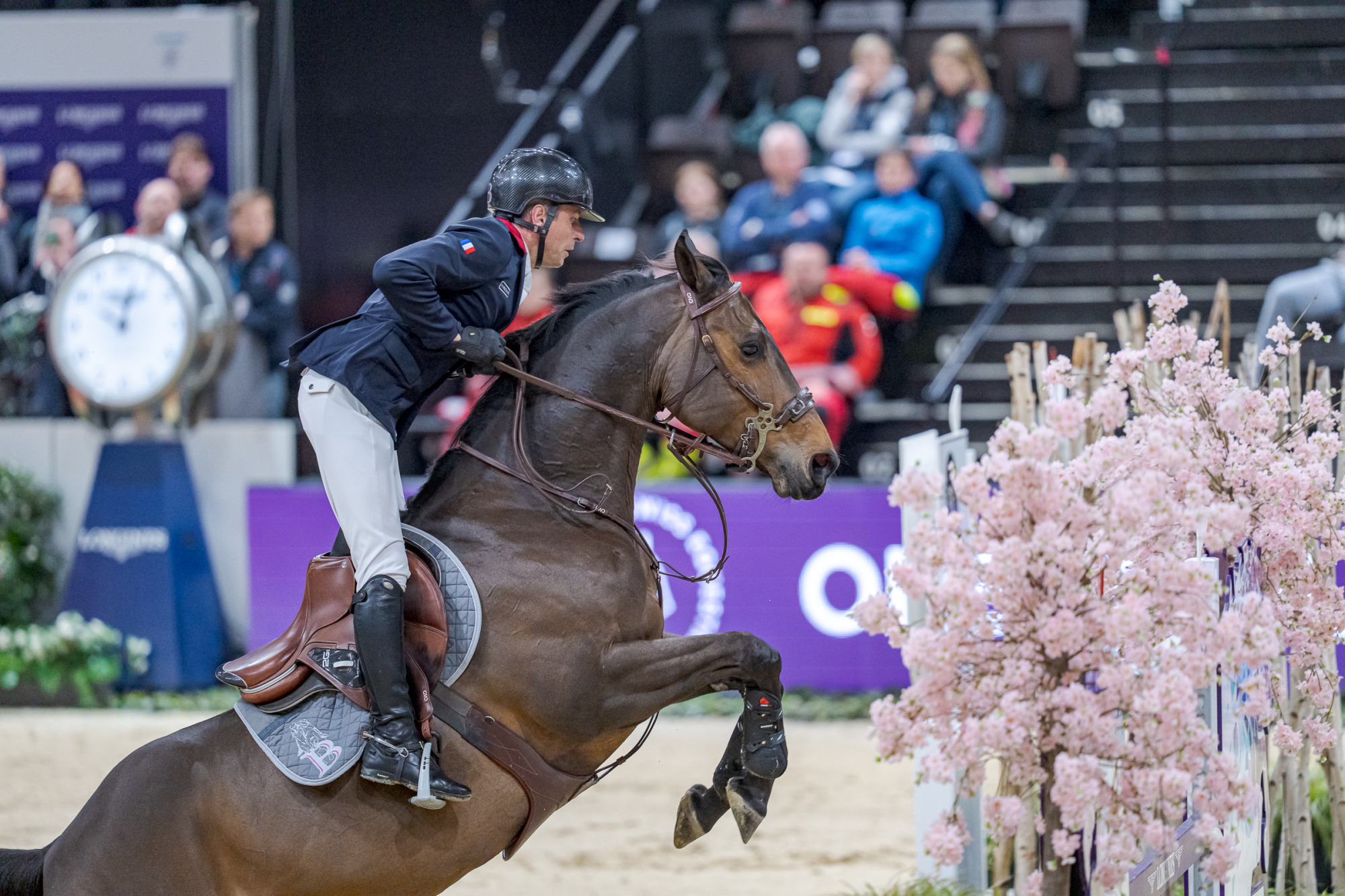 Julien&nbsp;epaillard (fra) Donatello D'auge