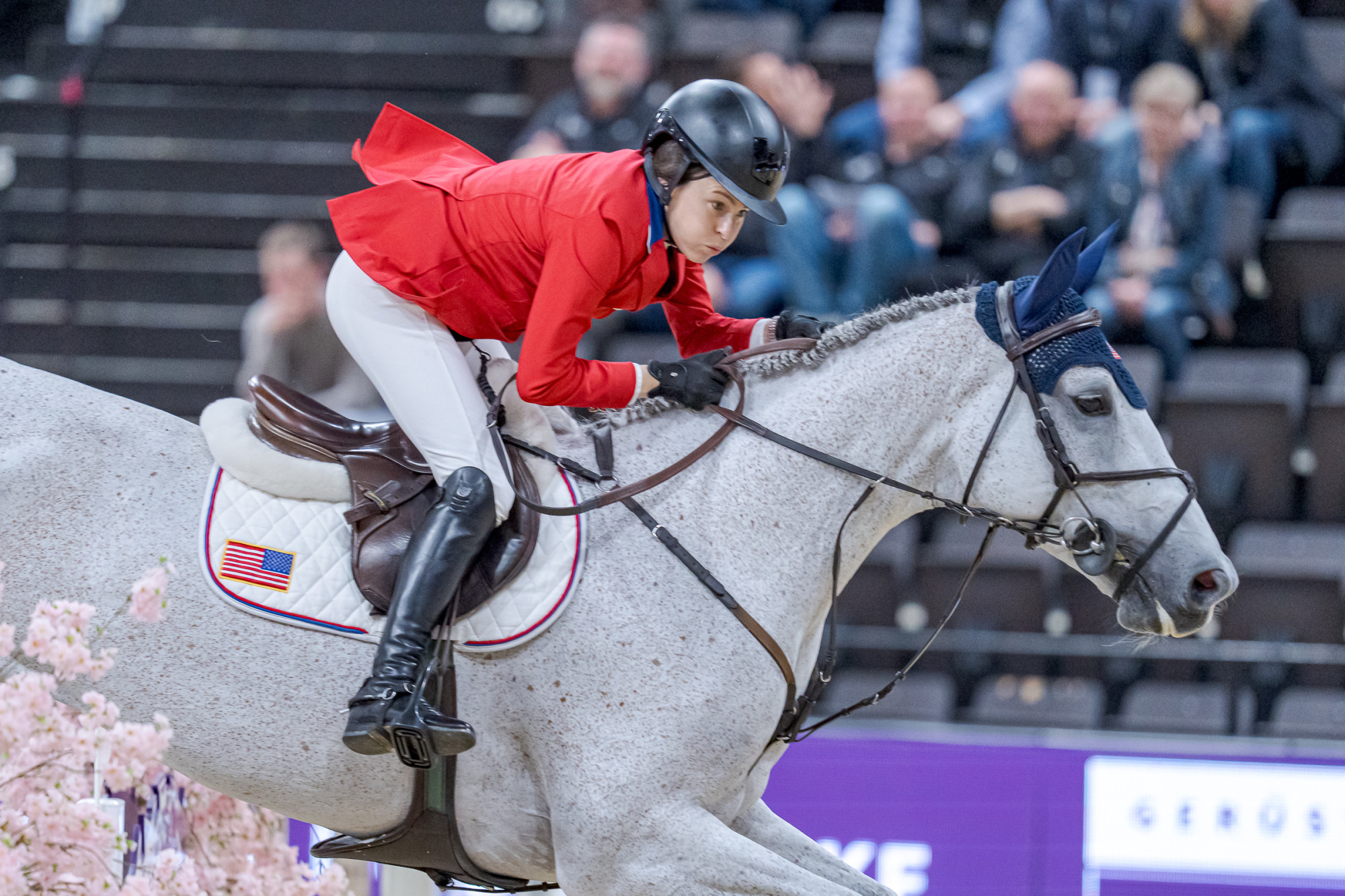 Katherine A. Dinan (usa) Out Of The Blue Scf