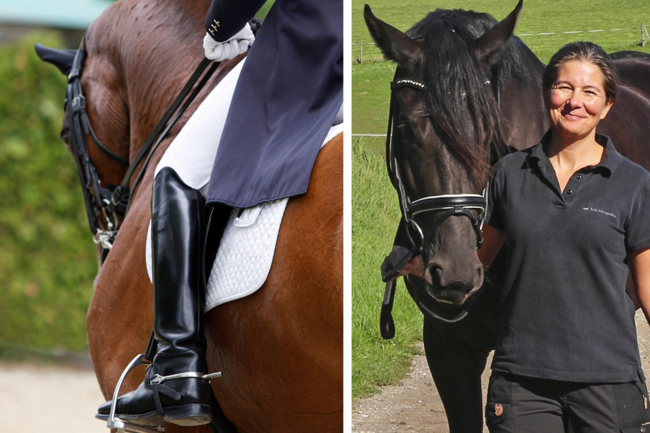 Veterinären: Belöna ryttare som rider med hästens välfärd i fokus