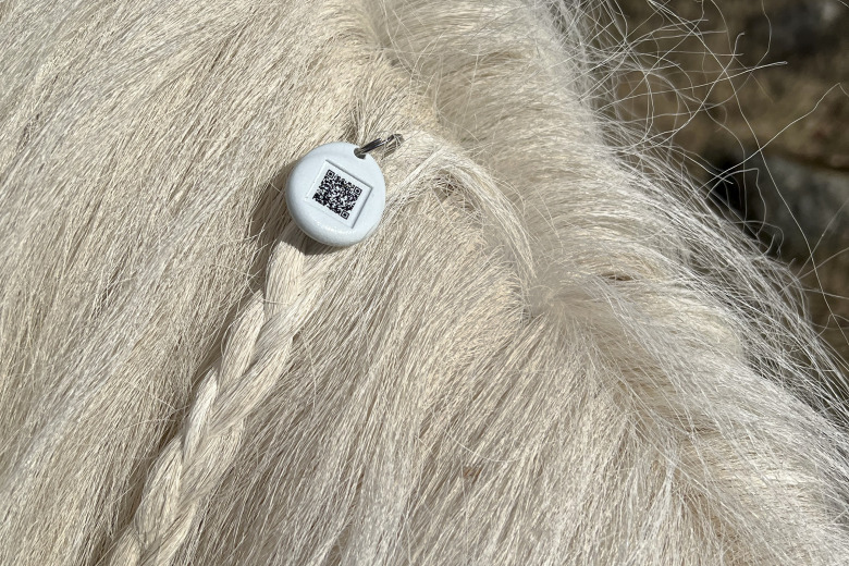 Hittar pälsklingar som är på rymmen