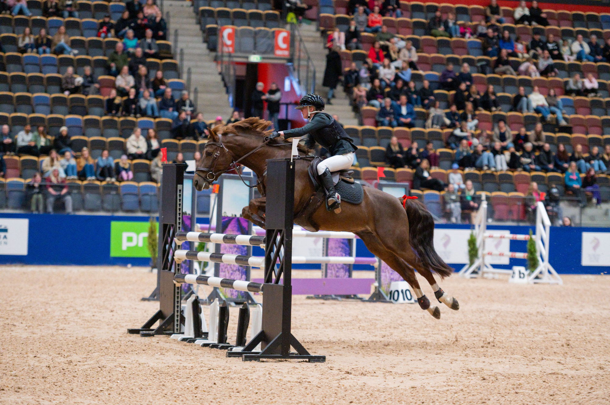 Ebba Sarlind Dahlberg och Ironic d'Elte, Nordic Horse Show