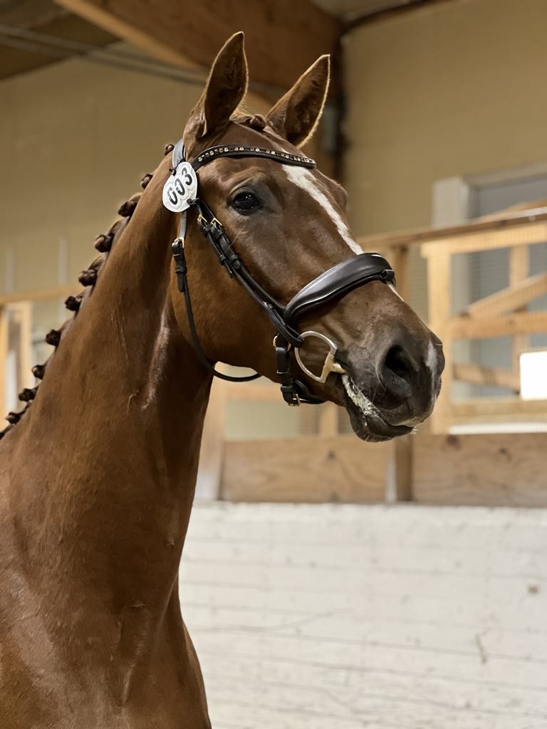 Abelour1_foto_sara_gottby