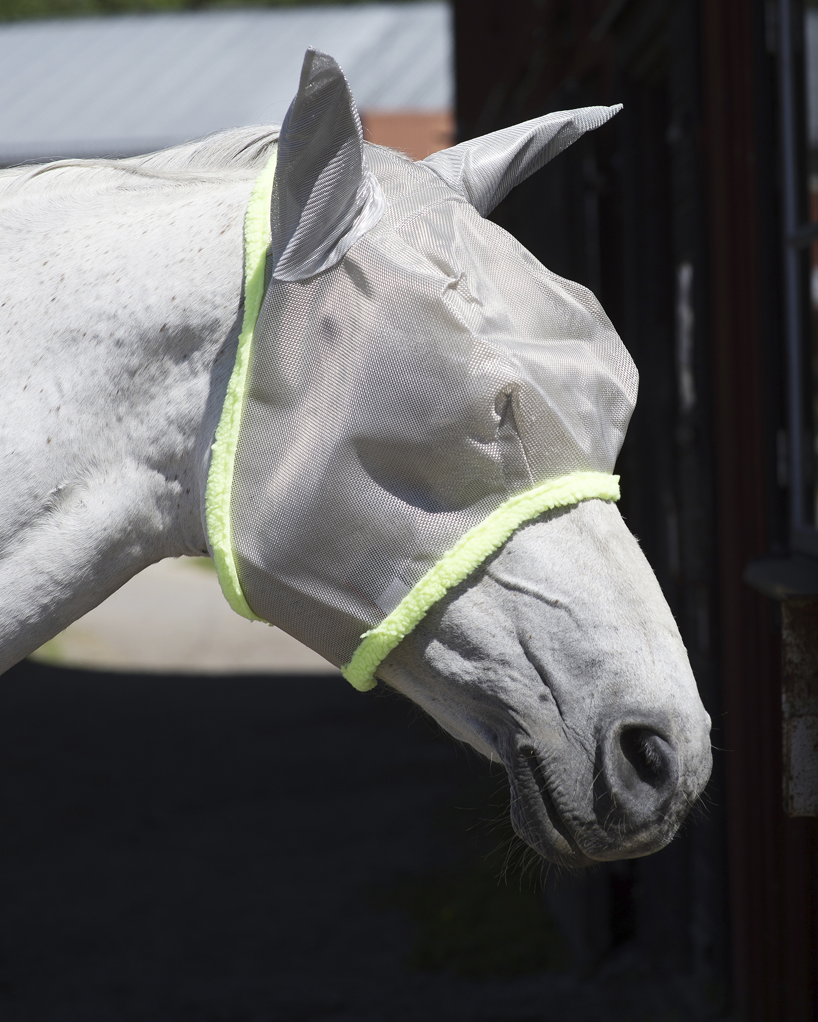 Amigo Flughuvor _mal8037