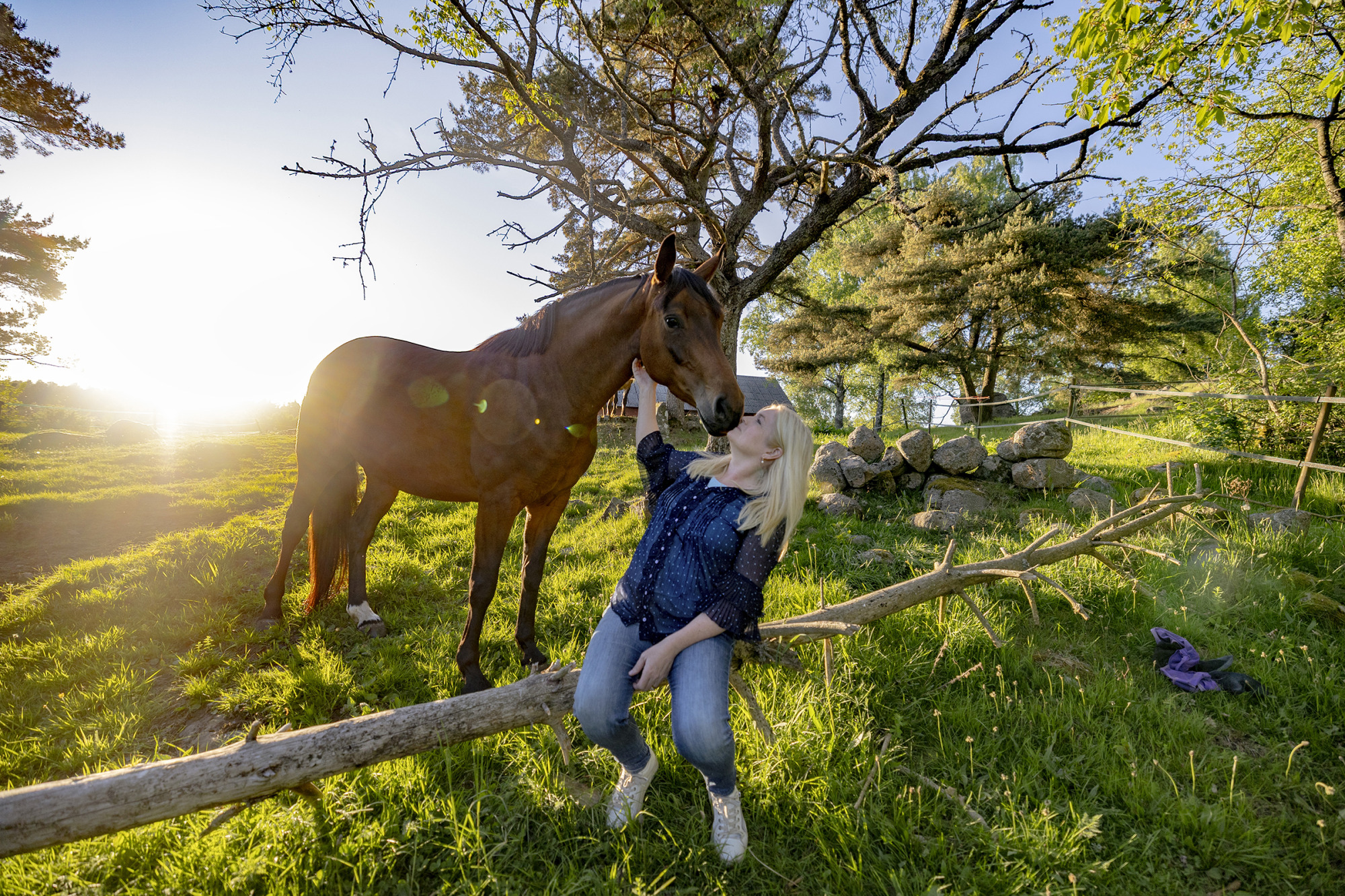 Anette Graf Vd Swb Fj-1093