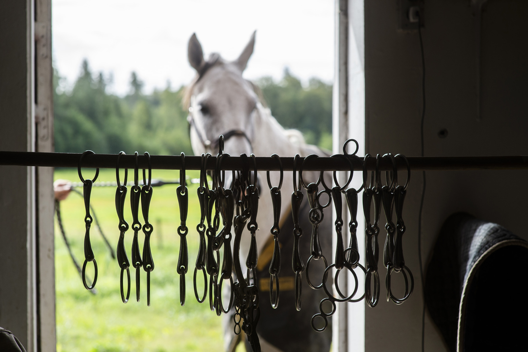Bett Tänder Betsling 
Foto: Sandra Nordin Johansson