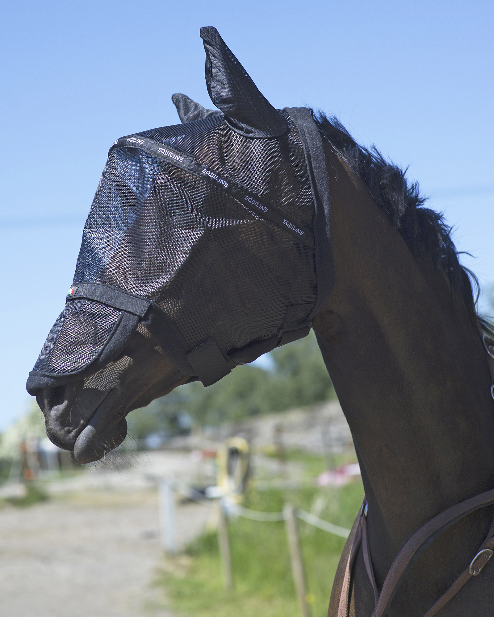 Equiline Flughuvor _mal8286