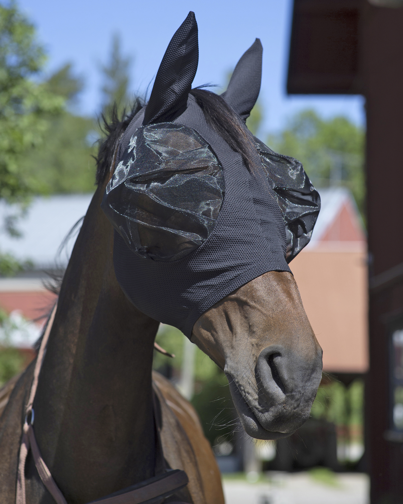 Eskadron4 Flughuvor _mal8152